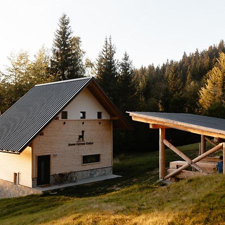 Alpine Cottage Golica جيسينيس المظهر الخارجي الصورة