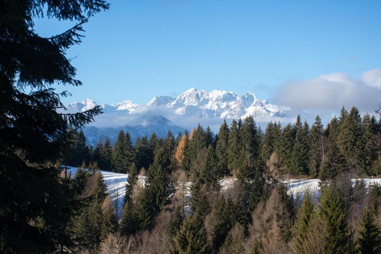 Alpine Cottage Golica جيسينيس المظهر الخارجي الصورة