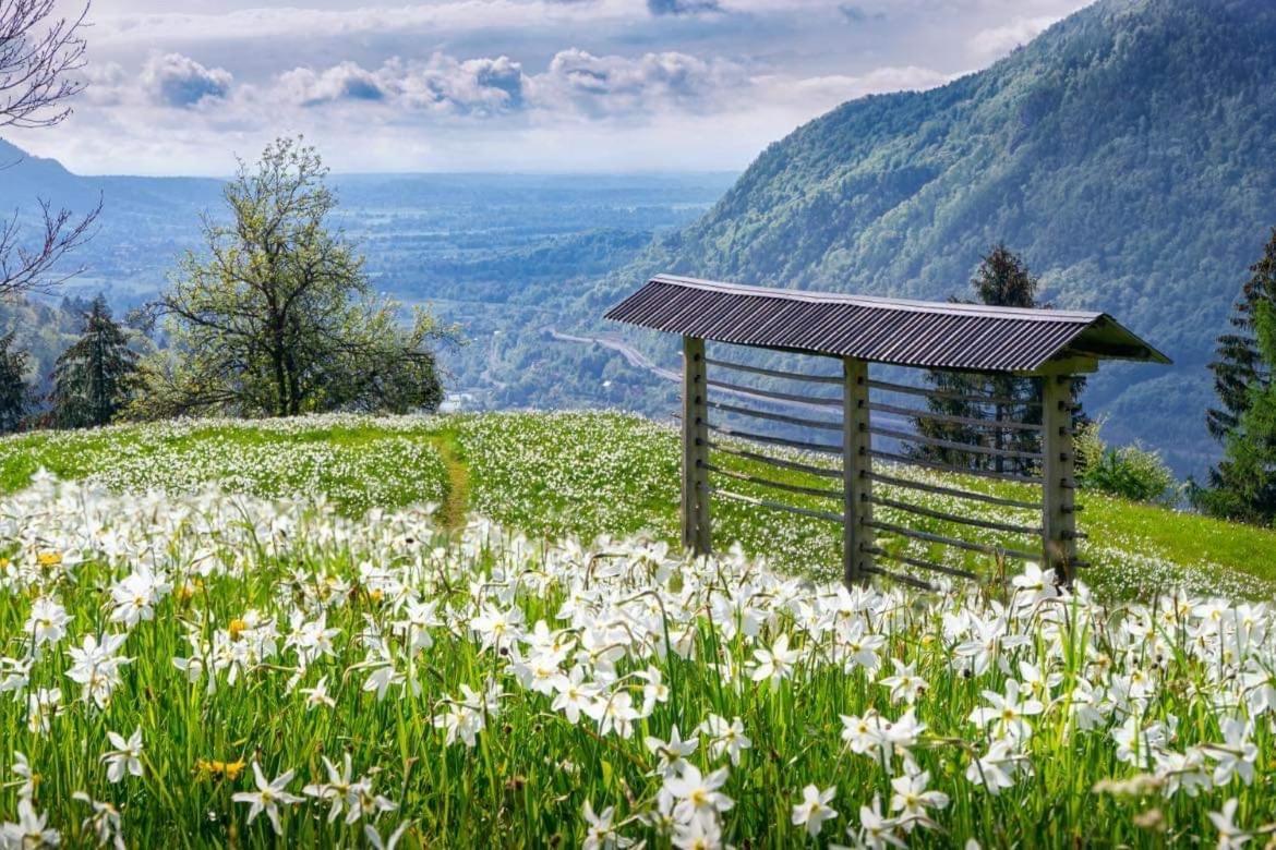 Alpine Cottage Golica جيسينيس المظهر الخارجي الصورة