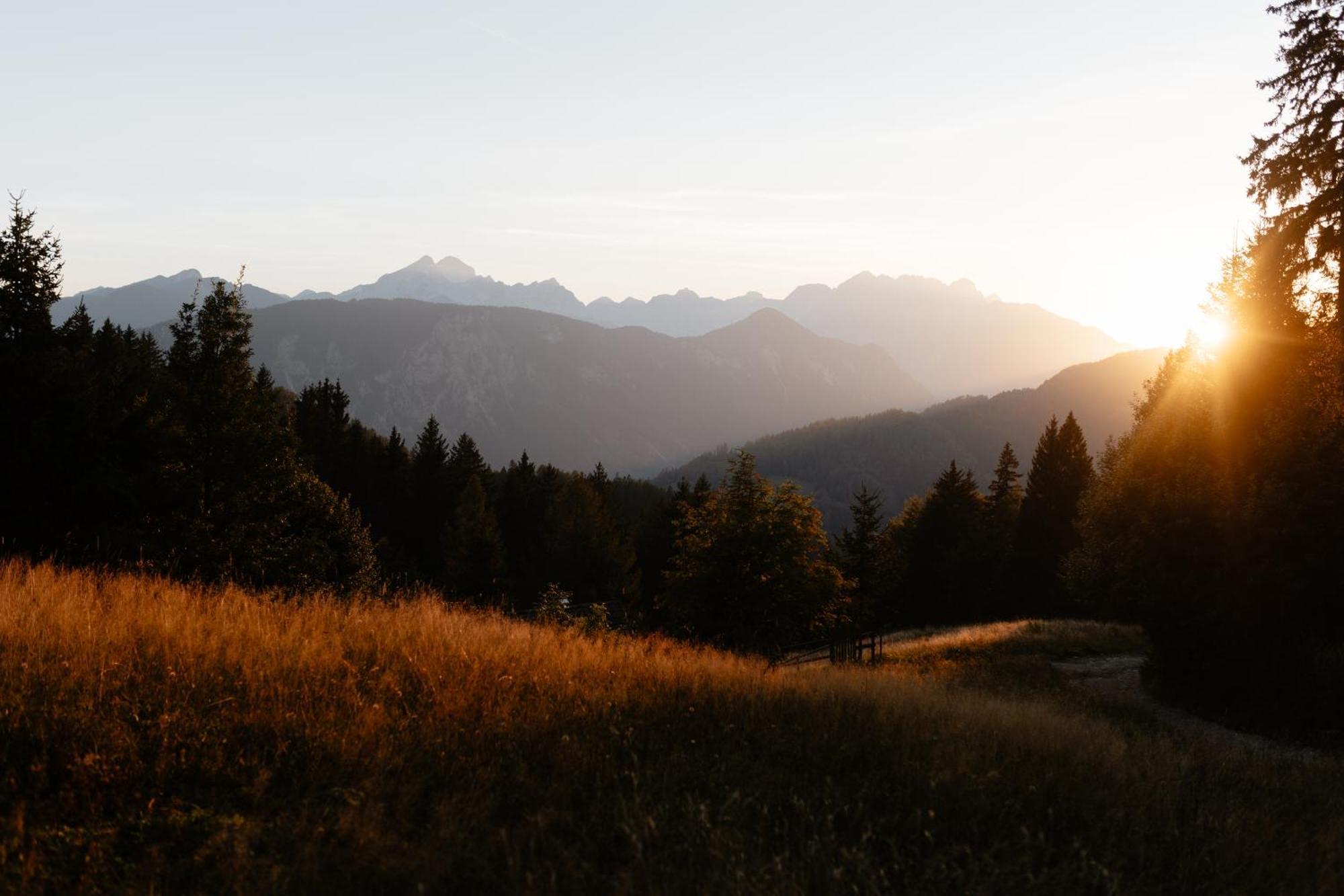 Alpine Cottage Golica جيسينيس المظهر الخارجي الصورة